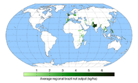 A world map showing regions that produce Brazil nuts.