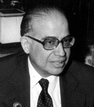 Ahmed Esmat Abd-El-Magid.jpg