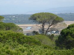 Río Barbate (Barbate, España) - P1600430.jpg