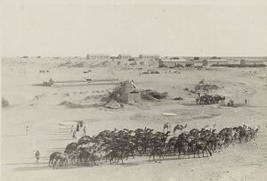 Magdhaba, with camels in foreground