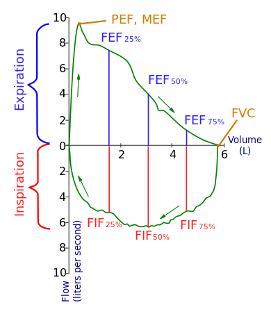 Flow-volume-loop.svg