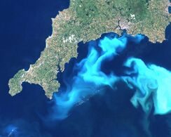 Algae bloom of Emiliania huxleyi off the southern coast of England