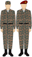 Egyptian Airborne camo uniform.png