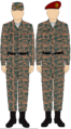 Egyptian Airborne camo uniform.png