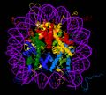 Nucleosome core particle 1EQZ v.5.jpg