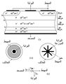 تصغير للنسخة بتاريخ 20:43، 17 مارس 2014