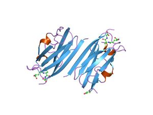 PDB 2brq EBI.jpg