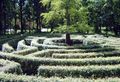 Public hedge maze in "English Garden" at Schönbusch Park, Aschaffenburg, ألمانيا.
