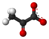 Ball-and-stick model of the pyruvate anion