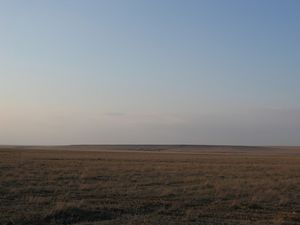 Steppe of western Kazakhstan in the early spring.jpg