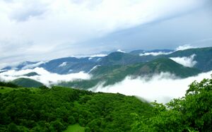 The misty mountains.jpg