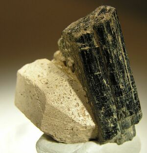 Apatite-(CaOH)-Hornblende-38354.jpg