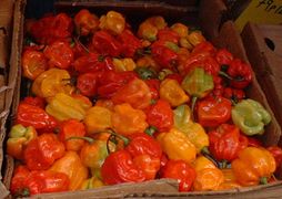 Scotch bonnet chili peppers in a Caribbean market