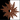 Reddish-brown spore print icon.png