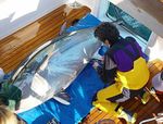 Scientists at work tagging a bluefin tuna. Results of the first-ever global marine life census were unveiled in London revealing an unprecedented view of life beneath the waves after a decade-long trawl through the murky depths. The Census of Marine Life estimated there are one million-plus species in the oceans, with at least three-quarters of them yet to be discovered.