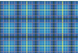 Texas Bluebonnet Tartan.svg