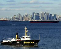 Ships in Upper New York Bay wait to enter the Kill.