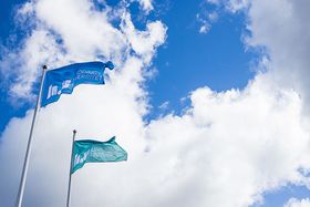 Linkoping university flags.jpeg