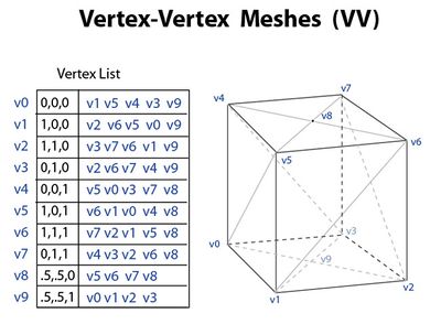 Vertex-vertex meshes.