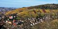 The mild climate and hilly landscape are perfect for viticulture, as the Romans discovered. Pictured are vineyards near Obertürkheim.