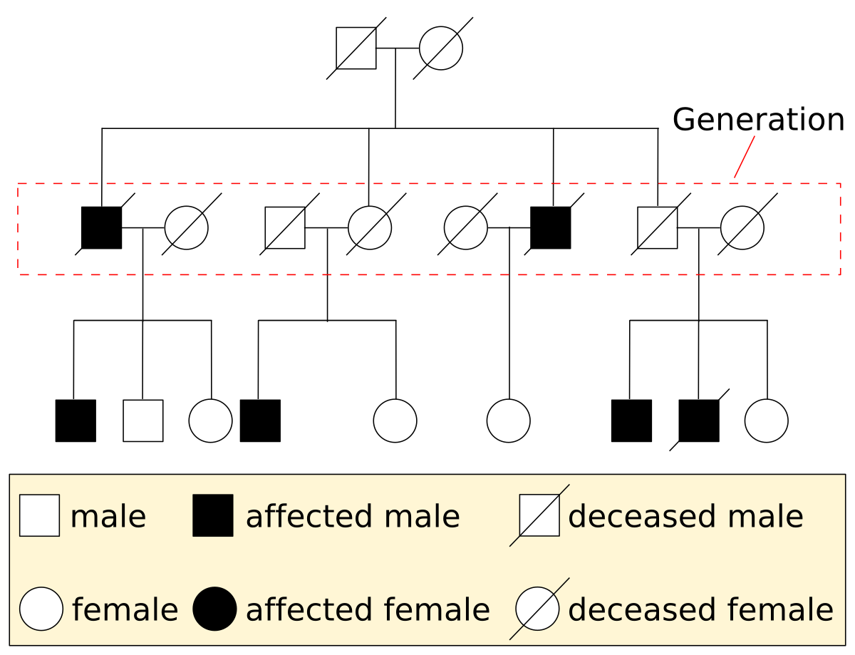 pedigree-chart-example-svg