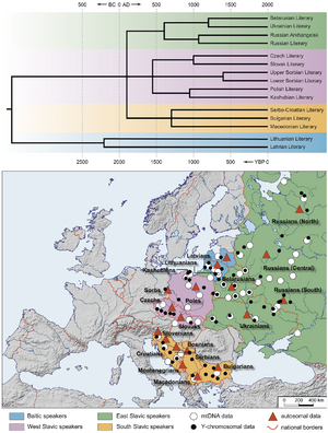 Map and tree of Balto-Slavic languages, according to Kassian and A. Dybo