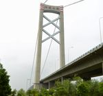 Yangluo Yangtze River Bridge.JPG