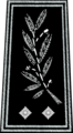 Contrôleur général (Controller General) the equivalent of a D.A.C. or Commander. In the 'provincial constabularies', this is the rank of an Assistant Chief Constable.