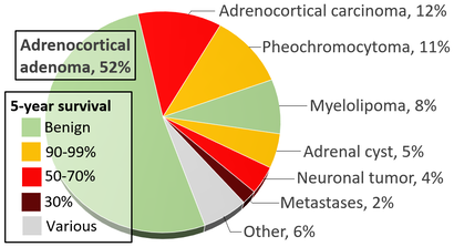 Incidences and prognoses of adrenal tumors.png