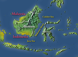 Makassar.png