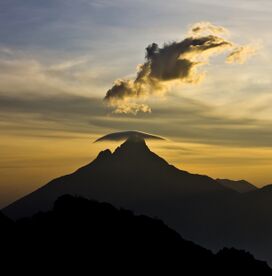 Virunga National Park Landscape.jpg