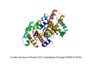 Arabidopsis Phytogb3 figure.tif