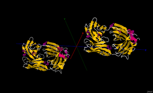 Cetuximab.png