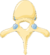 Vertebra 1 -- Smart-Servier.png