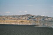 The lake with flamingos