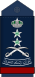 17.RSAF-GEN.svg