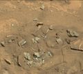 "Not Bones" on Mars - viewed by Curiosity (August 21, 2014).