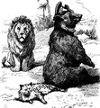 The Persian Cat used as a national personification for Persia/Iran, in a 19th Century British cartoon (the Russian Bear sits on the tail of the Persian Cat while the British Lion looks on)