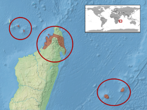 Phelsuma laticauda distribution.png