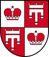 درع Vaduz