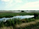 Assateague Wetlands.jpg