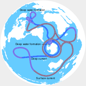 Thermohaline circulation.svg