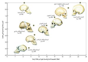 SCI2003b19N10 H01 009215.jpg