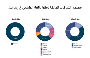 حصص الشركات المالكة لحقول الغاز في اسرائيل