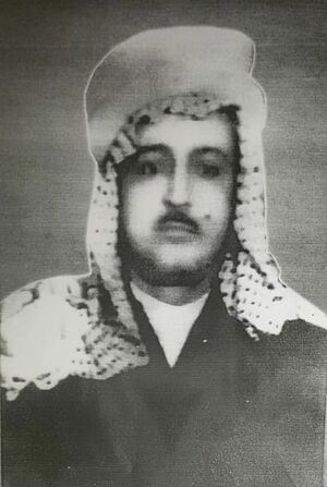 محمد حبيب.jpg