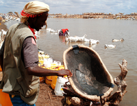 This watering hole created by a dam built near the Millennium Village Project site in Dertu, Kenya, serves as a much-needed source of water for the villagers and their livestock.