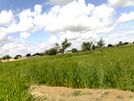 Village Sherikhel Lakki Marwat, Pakistan.jpg