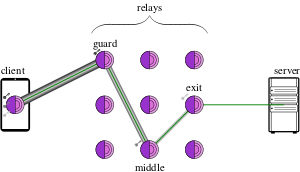 A client, represented as a phone, sending traffic to an onion labelled "Guard" with four nested lines, then going to a "Middle" onion with three nested lines, then going to an "Exit" onion with two nested lines, and finally going to the Server with one line.