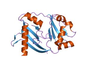 PDB 1wj9 EBI.jpg