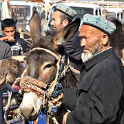 Uyghur farmer